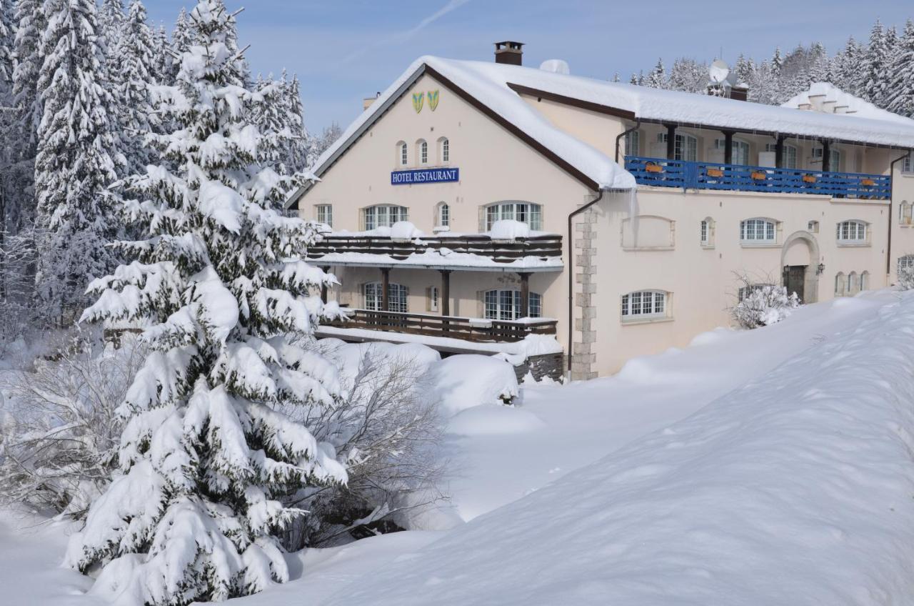 Aux Truites Bleues Hotel Fort-du-Plasne Exterior photo